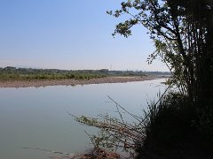 IMG 0009