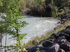 IMG 0010