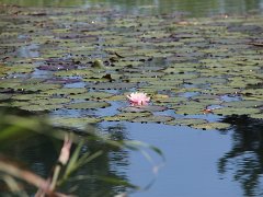 IMG 0012