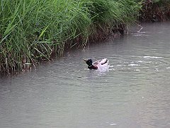 IMG 0001