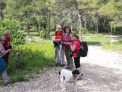 IMG 0017