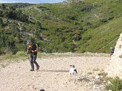 IMG 0008