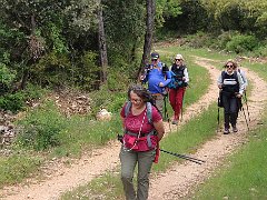 IMG 0019