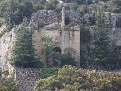 IMG 0003