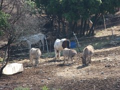IMG 0012