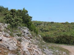 IMG 0018
