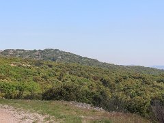 IMG 0019