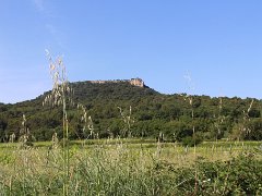 IMG 0006