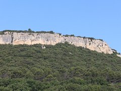 IMG 0008