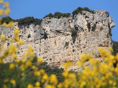 IMG 0024