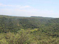 IMG 0049