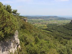 IMG 0050