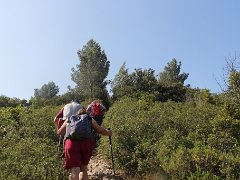 IMG 0003