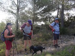 IMG 0005