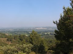 IMG 0006