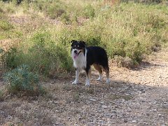 IMG 0009