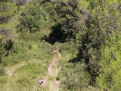 IMG 0009