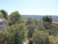 IMG 0012