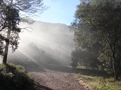 IMG 0001