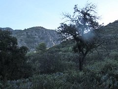 IMG 0004