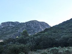 IMG 0006