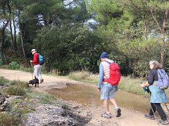 IMG 0009
