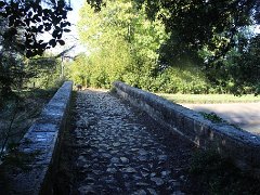 IMG 0010