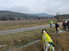 PXL 20260125 100147533