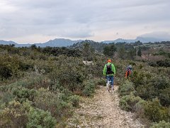 PXL 20260125 124534552