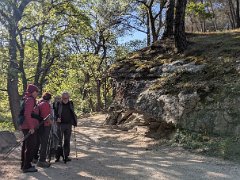 PXL 20260415 081842965