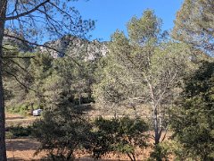 PXL 20260415 090244748