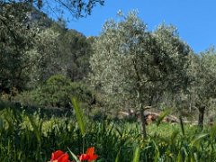 PXL 20260415 090701538