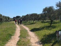 PXL 20260415 090720941