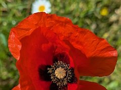 PXL 20260415 090812948