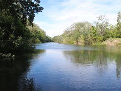 IMG 0013