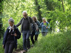 IMG 0017