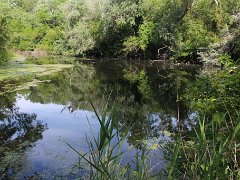 IMG 0020