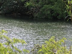 IMG 0021