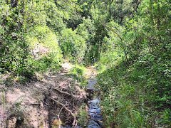 IMG 20260517 110004