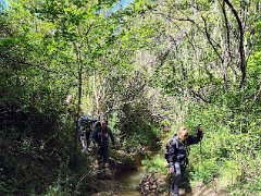 IMG 20260517 110038