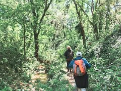 IMG 20260517 110601