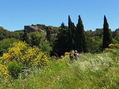 IMG 20260517 152209