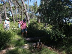 IMG 0012