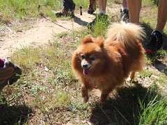 IMG 0023