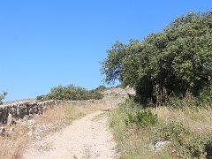 IMG 0001