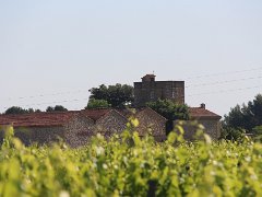 IMG 0014