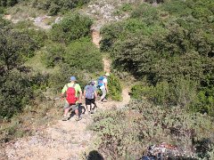 IMG 0016