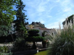 DSC07207