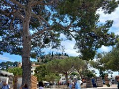 IMG-20260607-WA0017