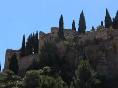 IMG 0018
